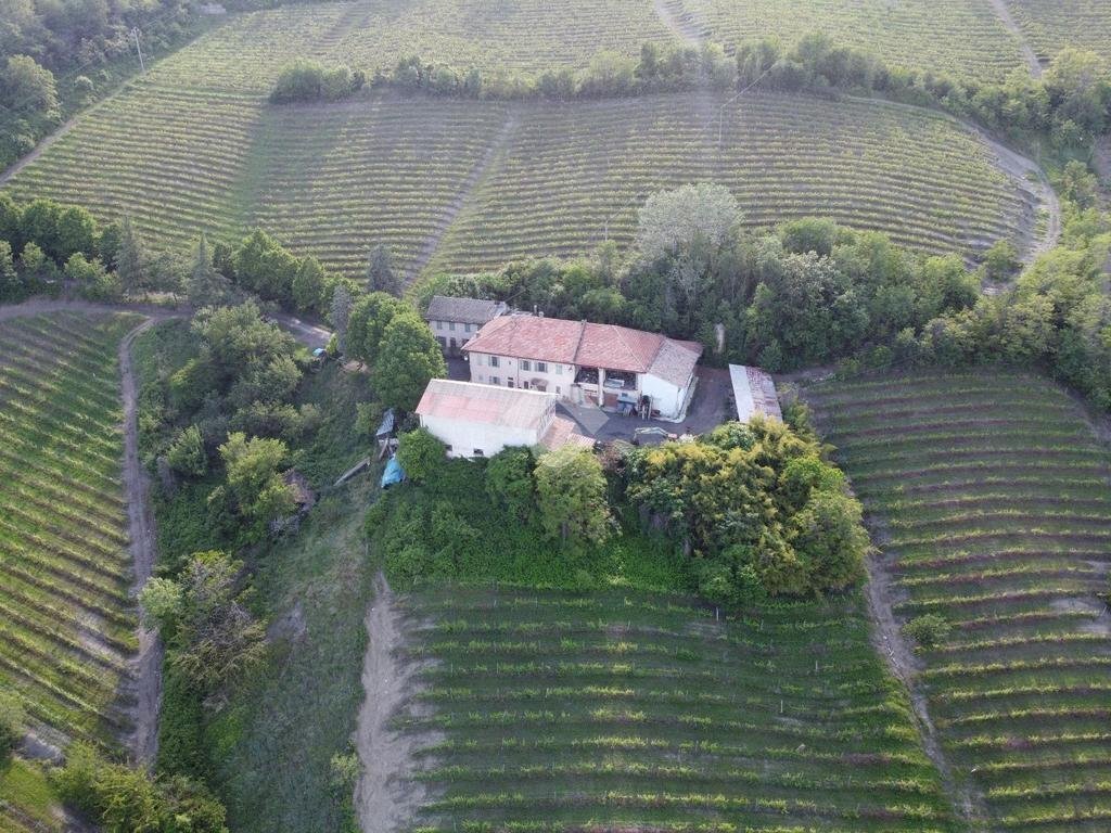 Attività Commerciale Azienda Vitivinicola Via alle Fontane, Ponzano Monferrato - foto 2