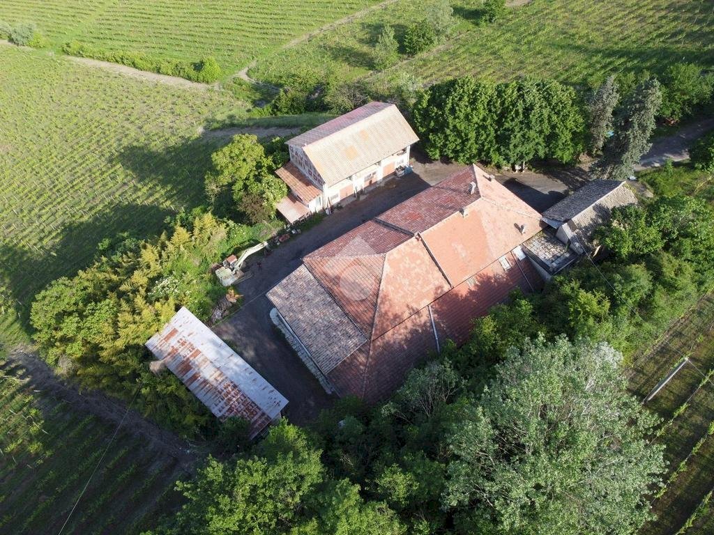 Attività Commerciale Azienda Vitivinicola Via alle Fontane, Ponzano Monferrato - foto 3