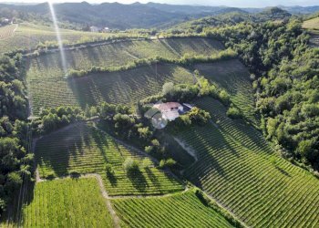 Attività Commerciale Azienda Vitivinicola Via alle Fontane, Ponzano Monferrato - foto 1