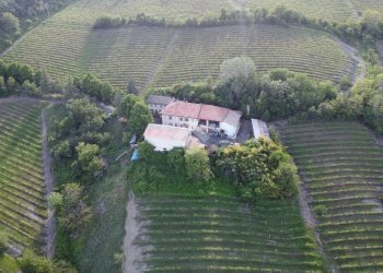 Attività Commerciale Azienda Vitivinicola Via alle Fontane, Ponzano Monferrato - foto 2