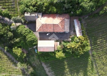 Attività Commerciale Azienda Vitivinicola Via alle Fontane, Ponzano Monferrato - foto 4