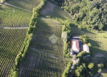 Attività Commerciale Azienda Vitivinicola Via alle Fontane, Ponzano Monferrato - foto 5