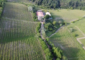 Attività Commerciale Azienda Vitivinicola Via alle Fontane, Ponzano Monferrato - foto 6