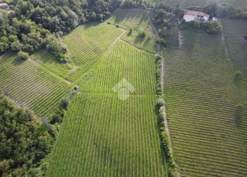 Attività Commerciale Azienda Vitivinicola Via alle Fontane, Ponzano Monferrato - foto 8