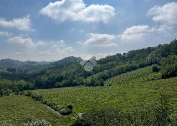 Attività Commerciale Azienda Vitivinicola Via alle Fontane, Ponzano Monferrato - foto 11