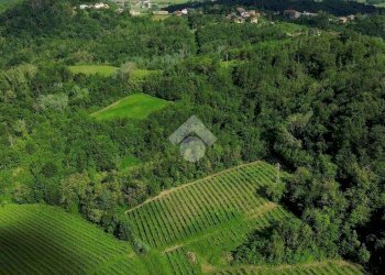 Attività Commerciale Azienda Vitivinicola Via alle Fontane, Ponzano Monferrato - foto 12