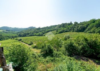 Attività Commerciale Azienda Vitivinicola Via alle Fontane, Ponzano Monferrato - foto 13