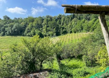 Attività Commerciale Azienda Vitivinicola Via alle Fontane, Ponzano Monferrato - foto 16
