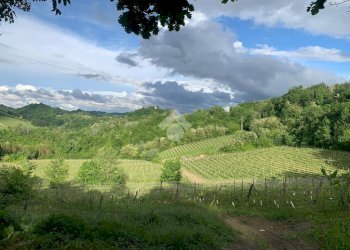 Attività Commerciale Azienda Vitivinicola Via alle Fontane, Ponzano Monferrato - foto 17