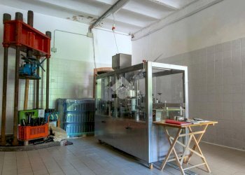 Attività Commerciale Azienda Vitivinicola Via alle Fontane, Ponzano Monferrato - foto 40