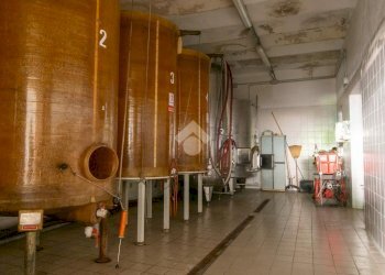 Attività Commerciale Azienda Vitivinicola Via alle Fontane, Ponzano Monferrato - foto 42