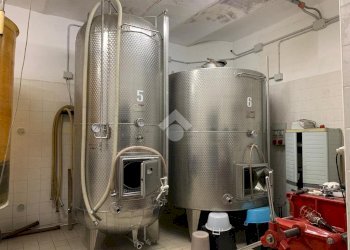 Attività Commerciale Azienda Vitivinicola Via alle Fontane, Ponzano Monferrato - foto 43