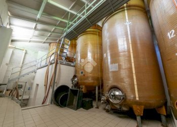 Attività Commerciale Azienda Vitivinicola Via alle Fontane, Ponzano Monferrato - foto 44