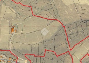 Attività Commerciale Azienda Vitivinicola Via alle Fontane, Ponzano Monferrato - foto 45