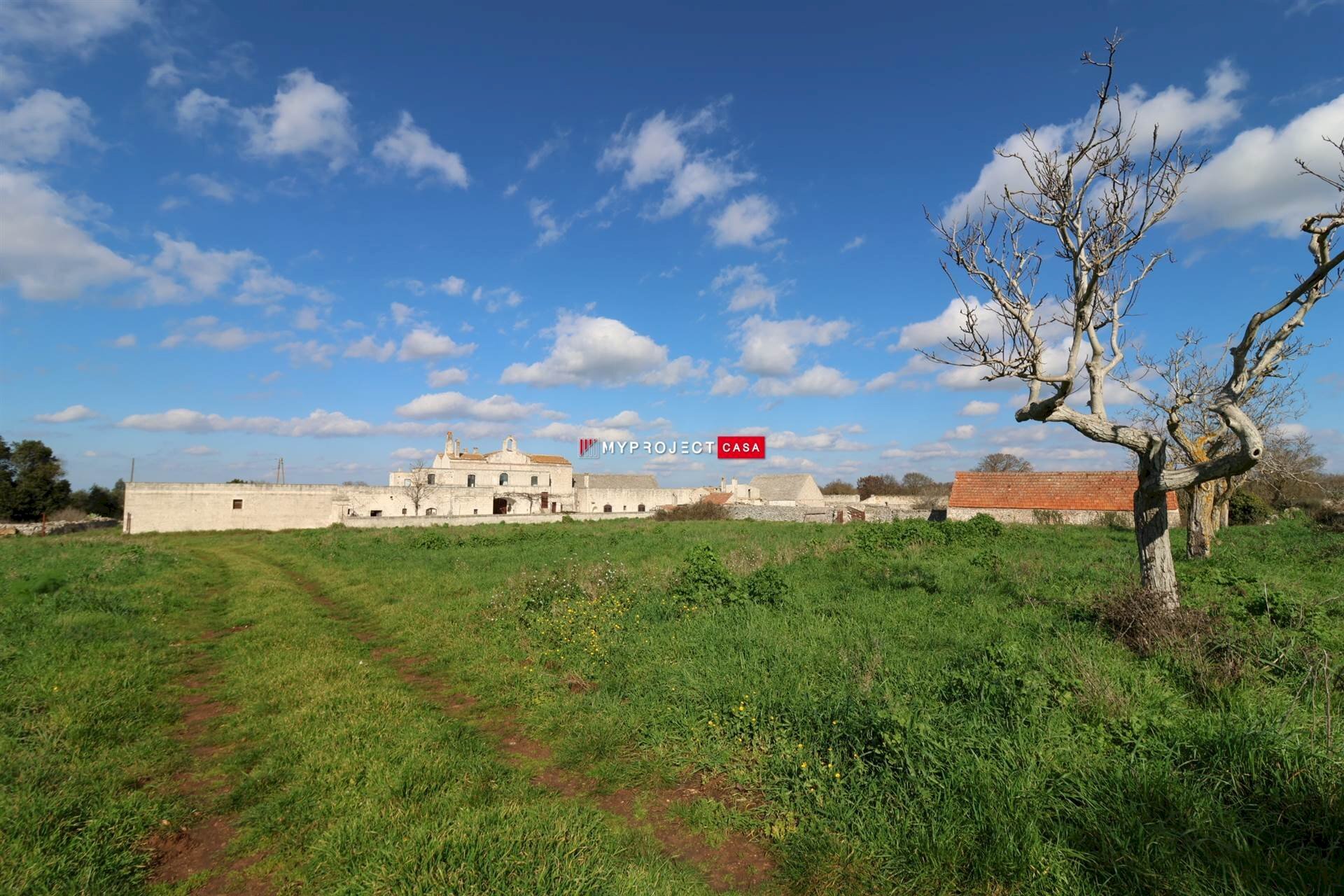 Locale Commerciale Via Santa Candida, Gioia del Colle - foto 2