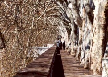 Zona - Attico piazza di San Lorenzo in Lucina, 3, Roma (zona Centro Storico) - foto 12