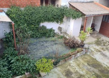 Giardino - Rustico Ottiglio - foto 5