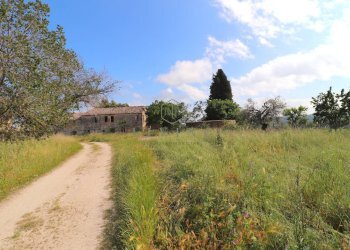 Foto 4 - Rustico Cupra Marittima - foto 4