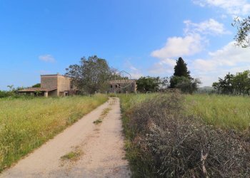 Foto 5 - Rustico Cupra Marittima - foto 5