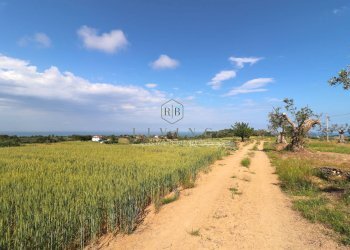 Foto 7 - Rustico Cupra Marittima - foto 7