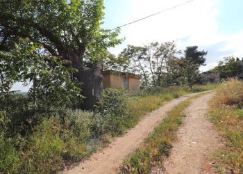 Foto 8 - Rustico Cupra Marittima - foto 8