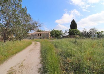 Foto 15 - Rustico Cupra Marittima - foto 15