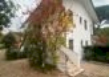 Bilocale Ravenna - foto 1