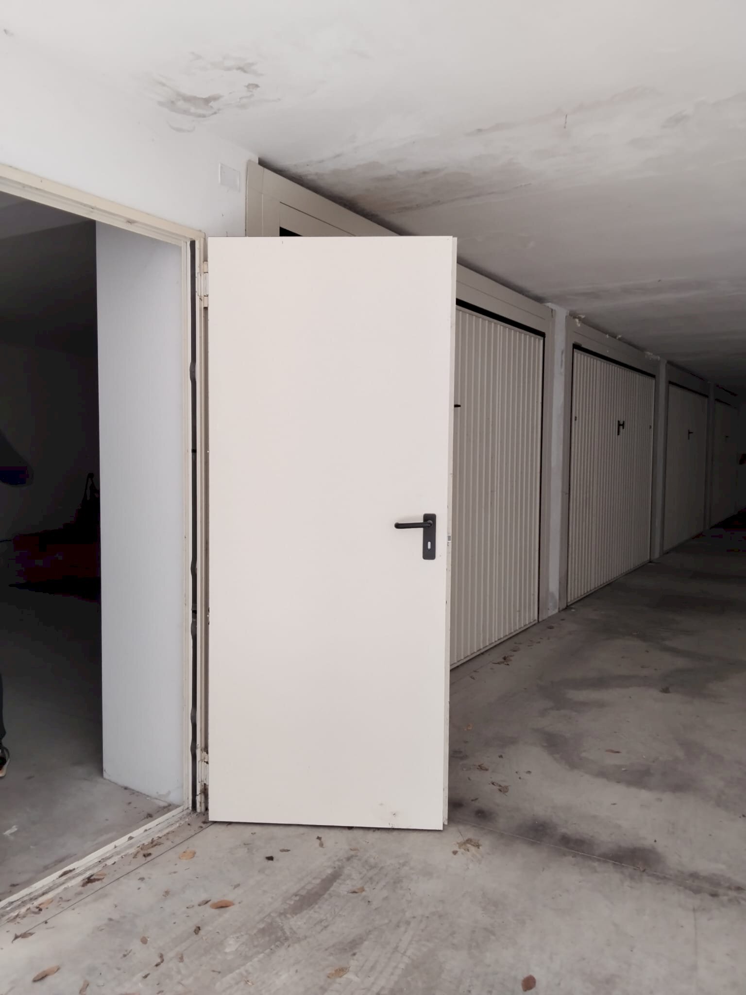 Attic Colli al Metauro - photo 2