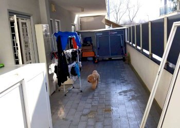 Foto 13 - Quadrilocale Camposano - foto 13