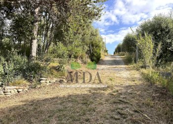 Foto 33 - Casa indipendente Case Lucidi, Torano Nuovo - foto 33