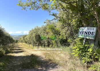 Foto 34 - Casa indipendente Case Lucidi, Torano Nuovo - foto 34