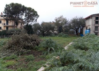 Foto 23 - Appartamento Via Ugo Foscolo, Monsampolo del Tronto - foto 23