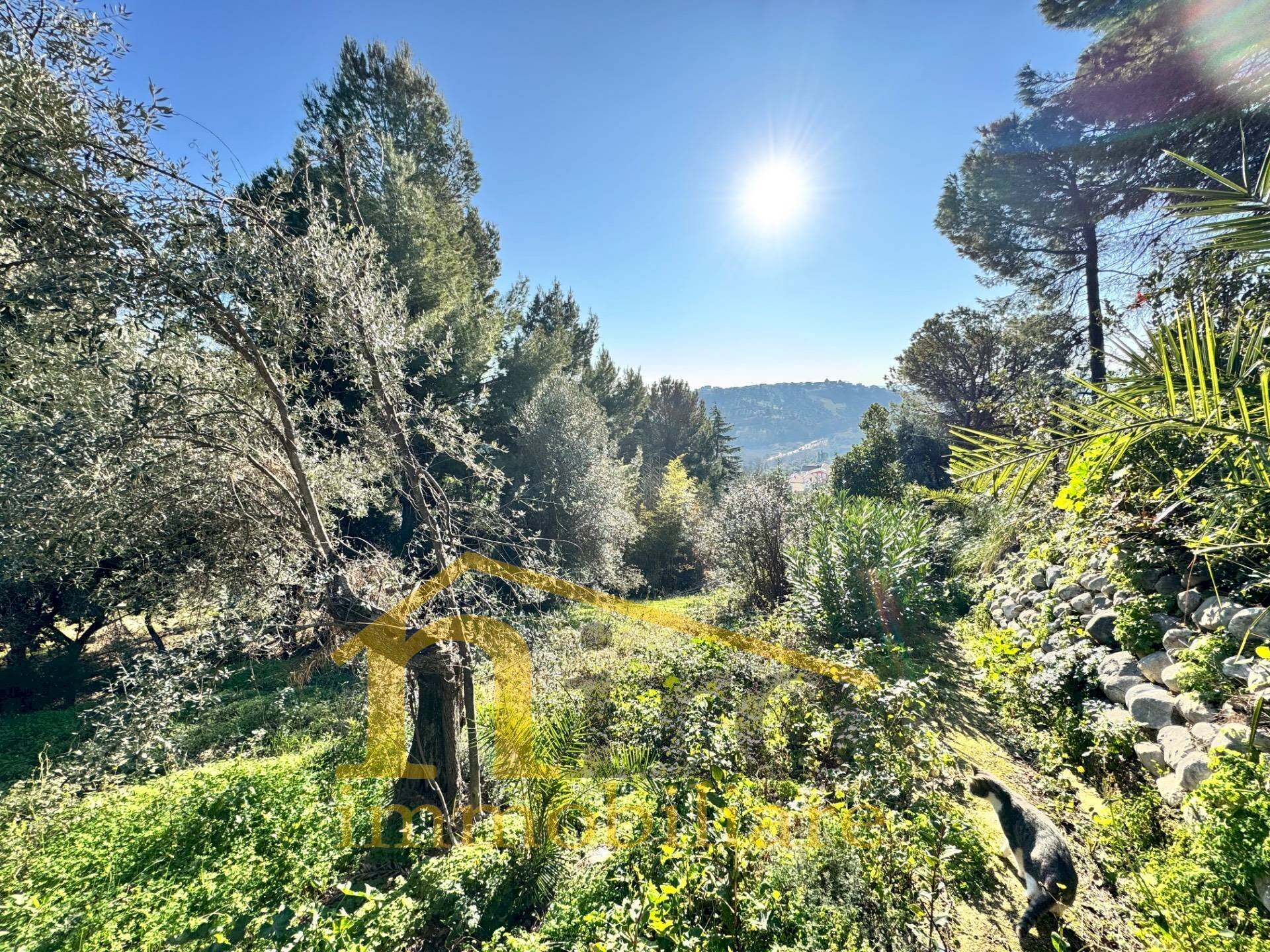 Foto 1 - Building land Via Pianacci
 
23, Montesilvano - photo 1