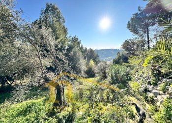 Foto 1 - Terreno edificabile Via Pianacci
23, Montesilvano - foto 1