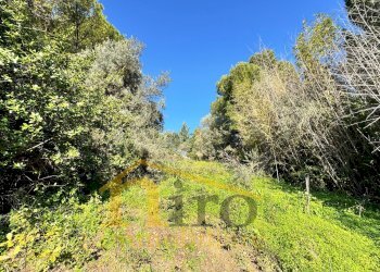 Foto 2 - Terreno edificabile Via Pianacci
23, Montesilvano - foto 2