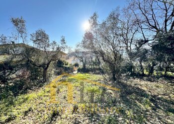 Foto 3 - Terreno edificabile Via Pianacci
23, Montesilvano - foto 3