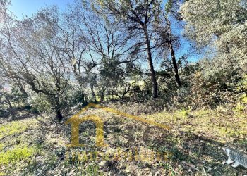 Foto 4 - Terreno edificabile Via Pianacci
23, Montesilvano - foto 4