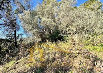 Foto 5 - Terreno edificabile Via Pianacci
23, Montesilvano - foto 5