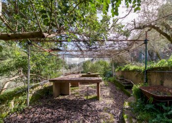 Giardino - Villa Piazzetta Reale
 
1, Monreale - foto 12