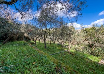 Giardino - Villa Piazzetta Reale
 
1, Monreale - foto 14