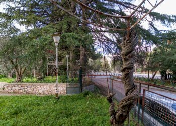 Giardino - Villa Piazzetta Reale
 
1, Monreale - foto 36