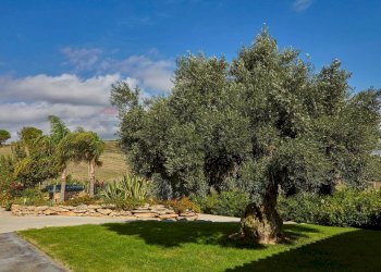 Giardino - Villa Contrada Bonera, Menfi - foto 14