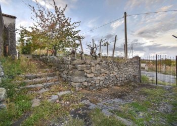 Giardino - Rustic Via Martiti d'Ungheria
24, Milo - photo 4