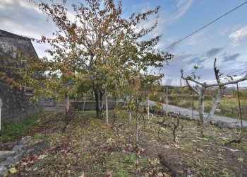 Giardino - Rustic Via Martiti d'Ungheria
24, Milo - photo 9