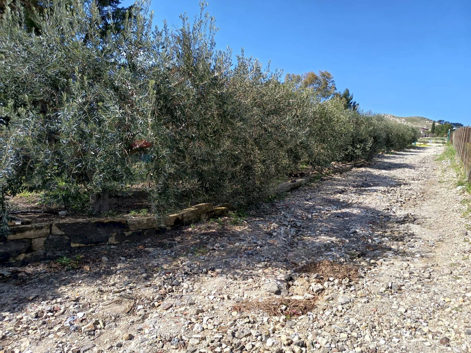 Giardino - Villa contrada monaci, Ramacca - photo 3