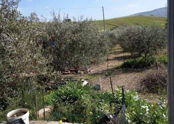 Giardino - Villa contrada monaci, Mineo - foto 4