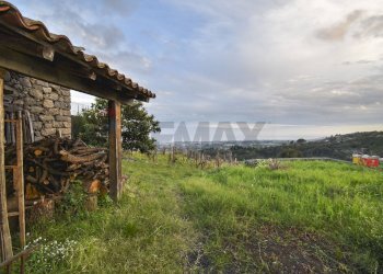 Giardino - Rustic Via Martiri d'Ungheria
 
24, Milo - photo 2