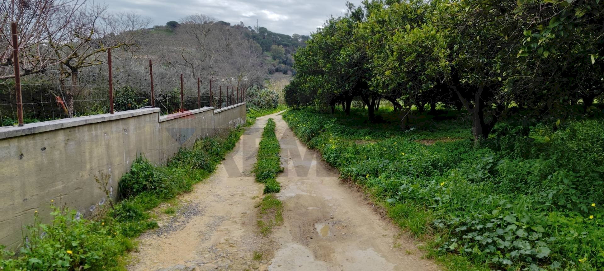 Giardino - Agricultural land c.da Piano della Croce
 
SN, Grammichele - photo 1