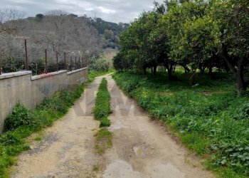 Giardino - Agricultural land c.da Piano della Croce
 
SN, Grammichele - photo 1