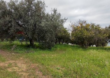 Giardino - Agricultural land c.da Piano della Croce
 
SN, Grammichele - photo 9